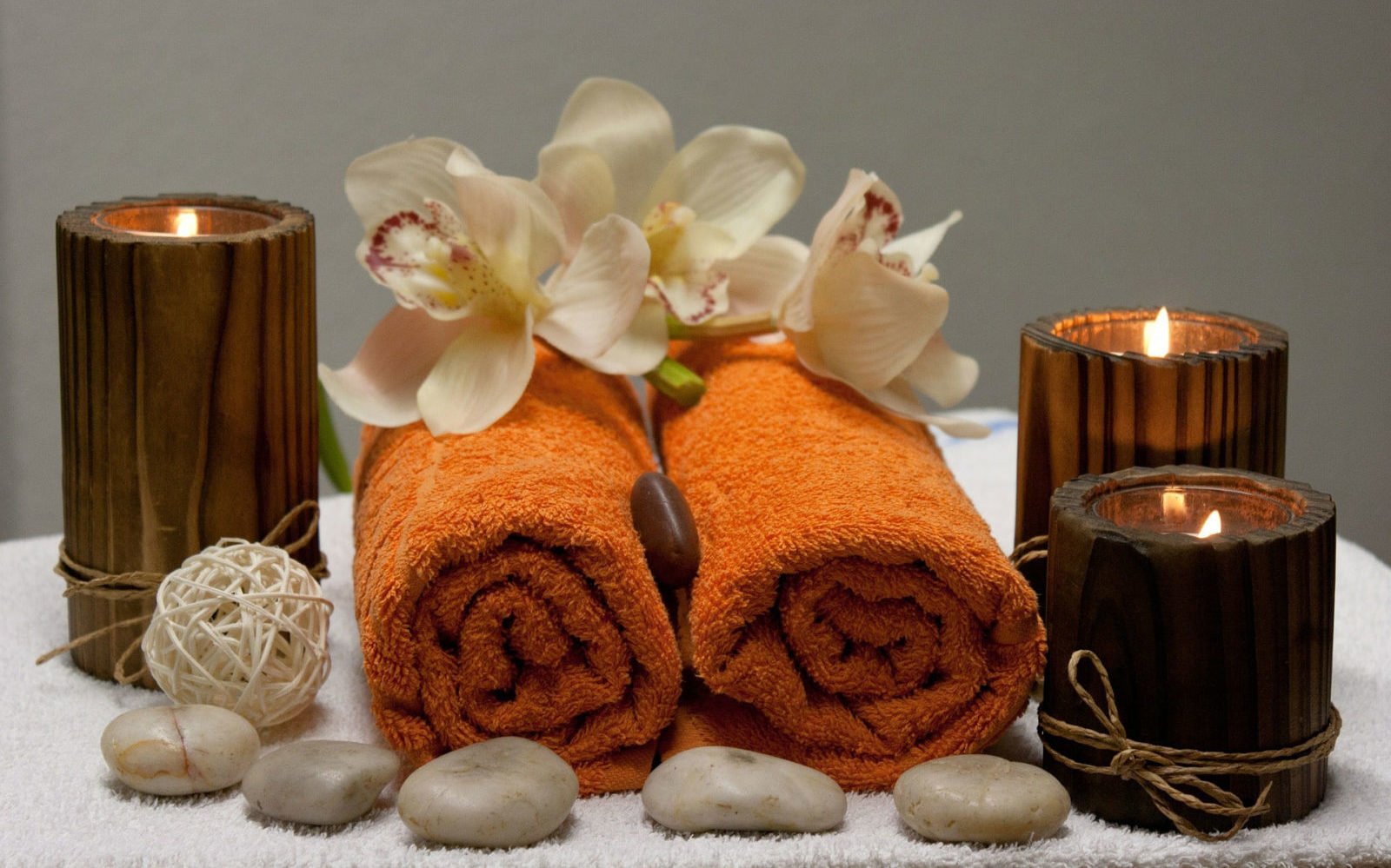 Wellness lorem
